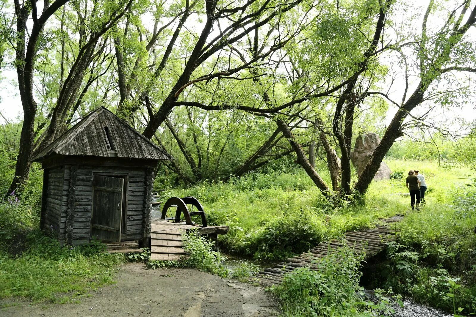 Истоки боки. Исток реки ока. Исток реки исток. Истоки картинка. Водопад сванидзе сочи.