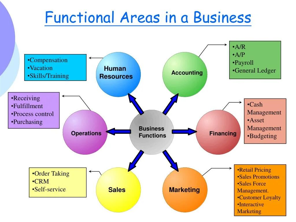 Processing function. Functional management. business functions. business areas. functions in management.