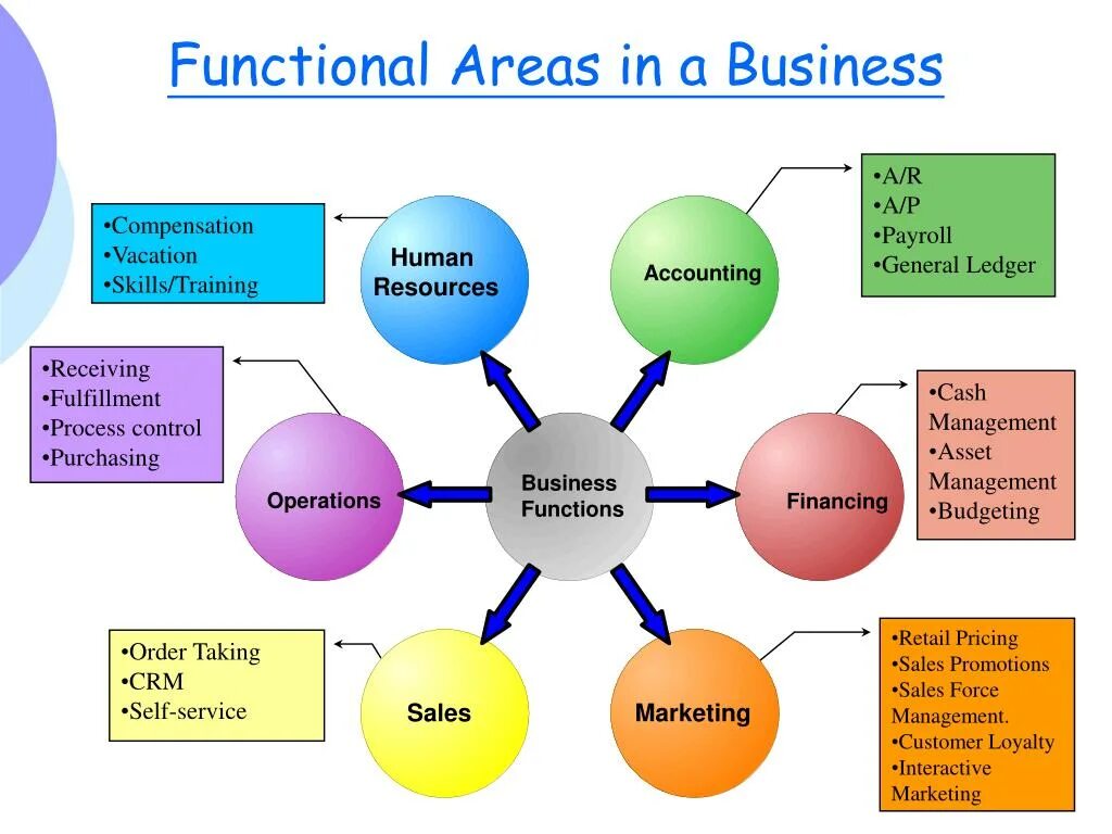 Functional Management. Business functions. Business areas. Functions in Management. Manager functions