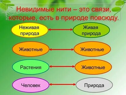 Невидимые нити тест 2 класс окружающий мир