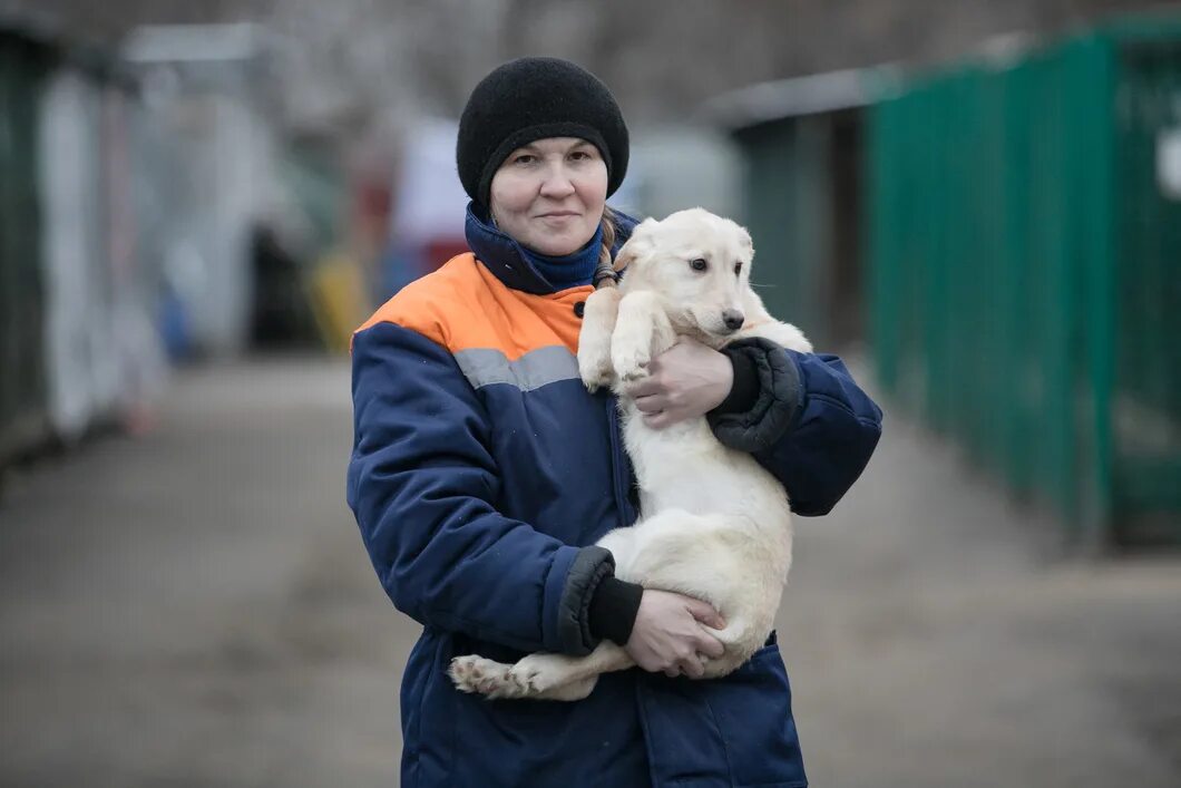 Приют человека отзывы. Волонтеры в приюте для животных. Волонтеры с собаками. Волонтерство в приюте для животных. Собачий приют волонтеры.