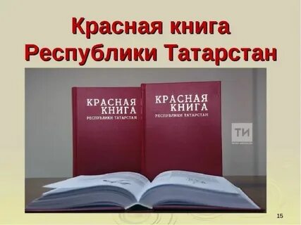 Животные занесенные в красную книгу республики татарстан