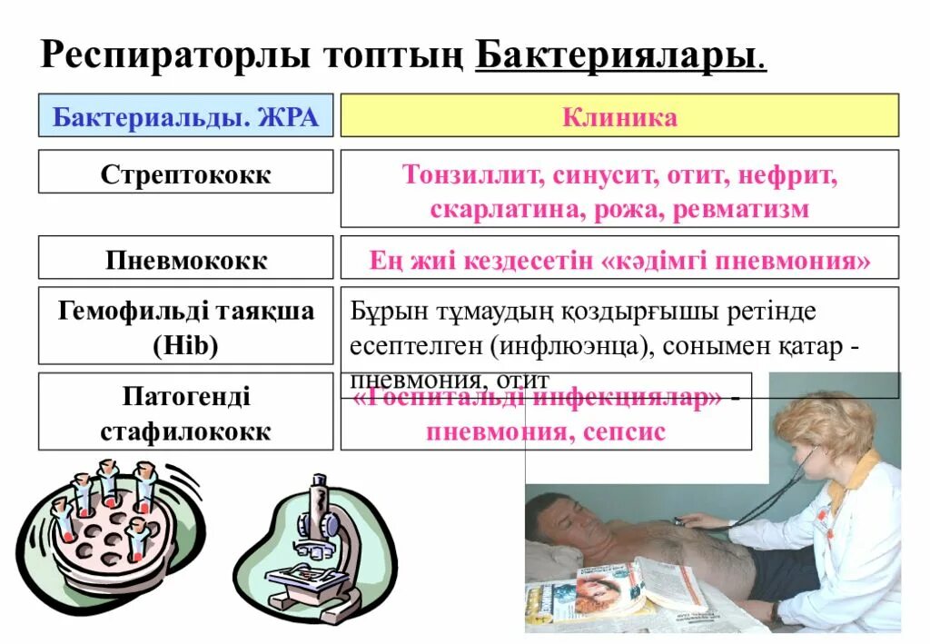 Возбудители бактериальных респираторных инфекций. Инфекции дыхательных путей заболевания. Воздушно - капельные инфекции (инфекции дыхательных путей). Возбудители инфекций дыхательных путей. Бактерии дыхательных путей.