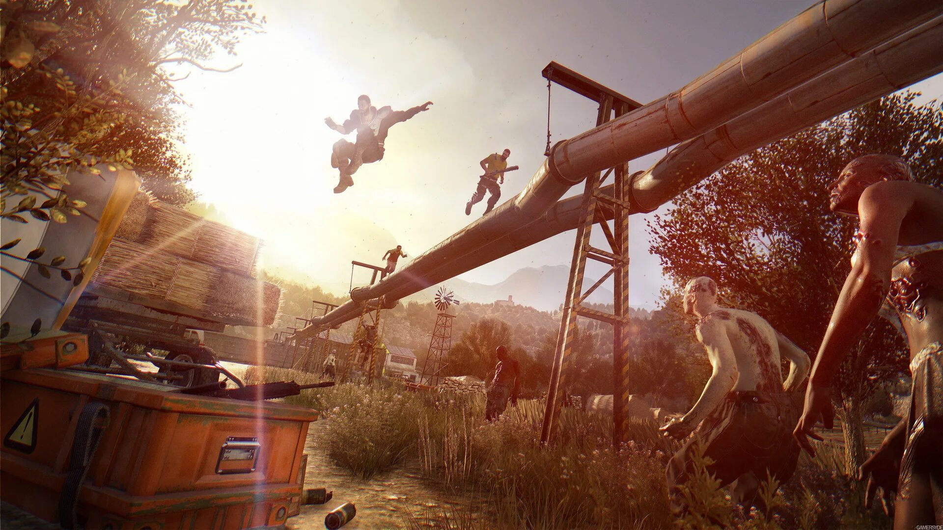 Dying Light the following ps4.