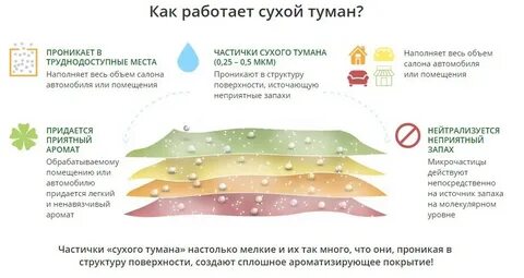 Как нейтрализовать запах