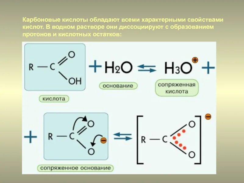 Карбоновая кислота с h2o2. Характерные реакции карбоновых кислот. На что диссоциируют карбоновые кислоты. Диссоциация карбоновых кислот.