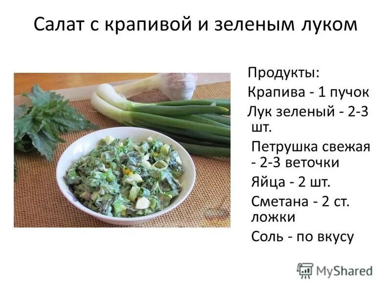 Рецепты простых салатов с зеленым луком. Салат с зеленым луком.