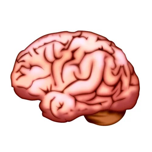 Brain face. Эмодзи мозг. Головной мозг эмодзи. Мозги смайлик. Мозг смайлик без фона.