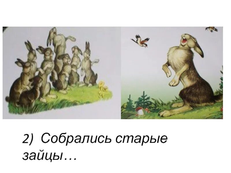 Храброго зайца падеж. Сказка мамин Сибиряк собрались старые зайцы. Сказка про храброго зайца. Собрались старые зайцы название сказки. Сказка про храброго зайца - длинные уши, косые глаза, короткий хвост.