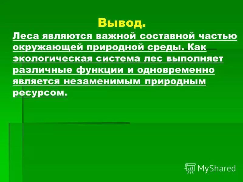 Функции леса в природе. Лес выполняет функции. Важнейшие экологические функции лесов. Экологические функции лесов. Экологическая роль леса.