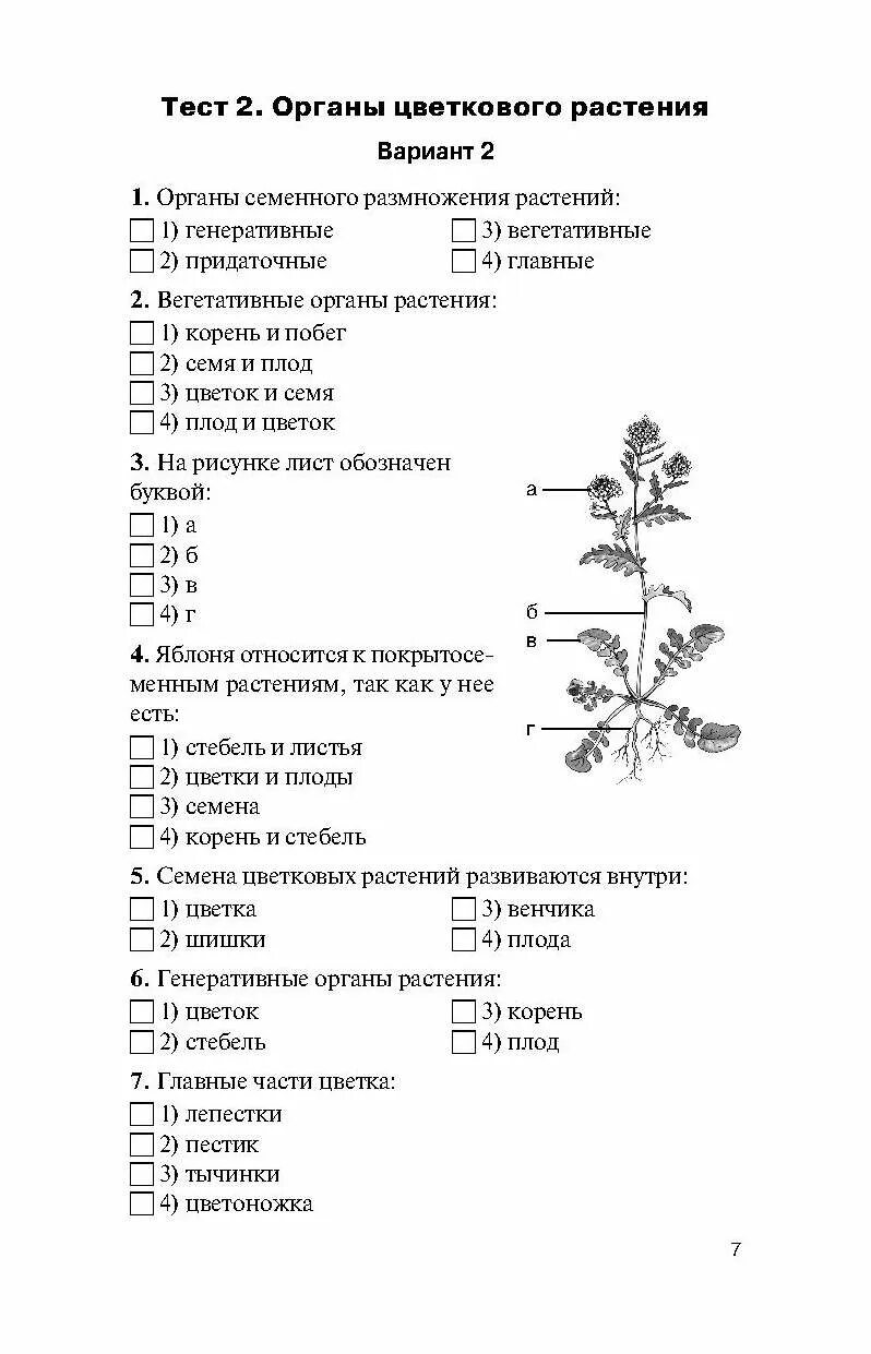 Органы растений 6 класс биология контрольная работа с ответами. Биология 6 класс тесты. Органы растения тест. Проверочная по биологии 6 класс органы растений.