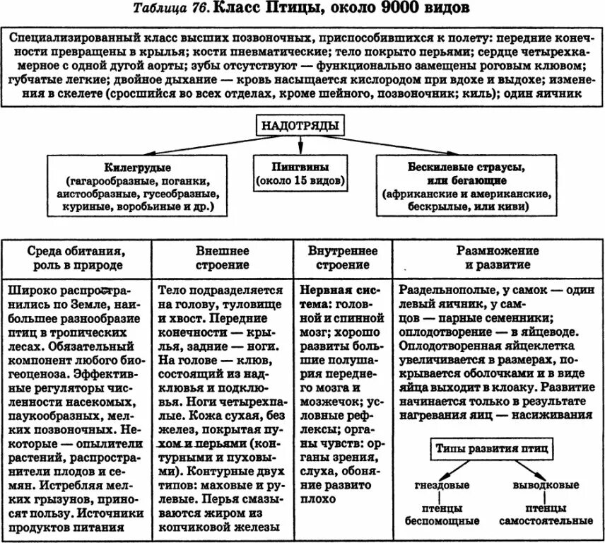 Таблица по биологии 8 класс птицы. Класс птицы 7 класс биология таблица общая характеристика. Биология 7 класс характеристика класса птиц таблица. Общая характеристика класса птицы 7 класс таблица. Общая характеристика птиц 7 класс биология таблица.