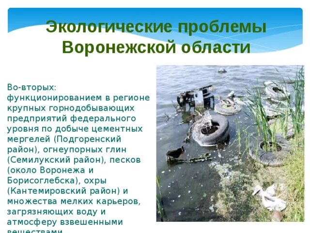 Экологические проблемы области проект Проблемы московского региона