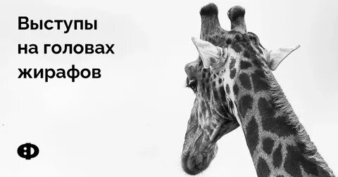 45 сантиметров
