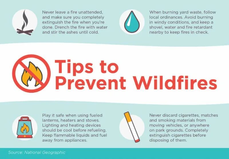 Done to prevent the. Prevent. fire prevention poster. fire safety poster forest. what to do in case of fire.