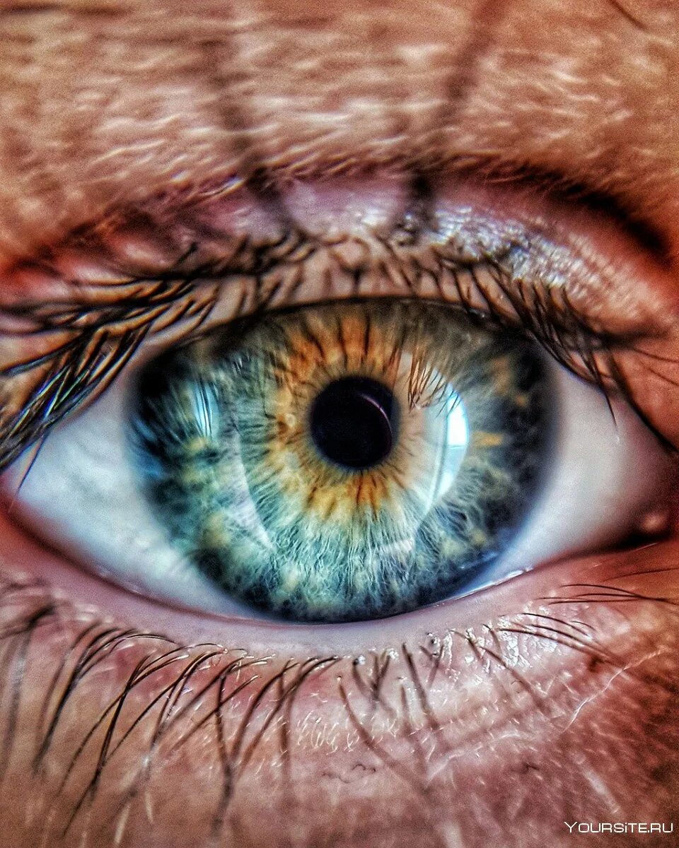 Разнообразие глаз. Человеческий глаз. Макросъемка глаза человека. Красивые Радужки глаз. Глаз человека макро.