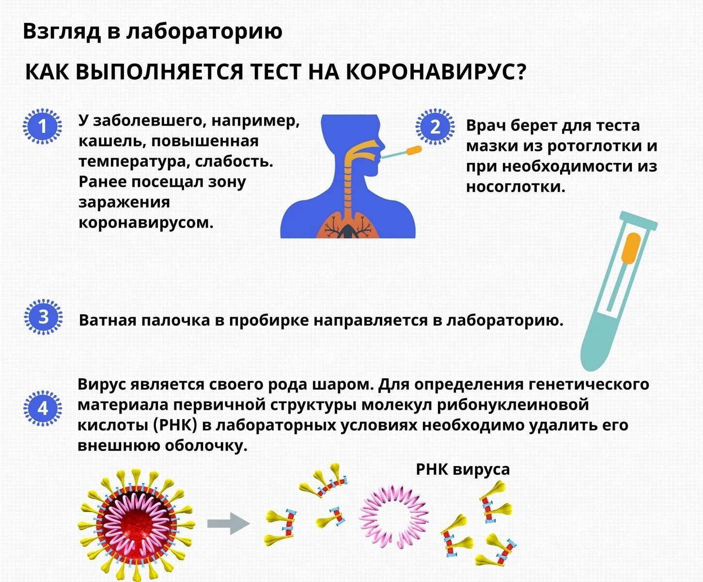 Вопросы для тестов коронавирусной инфекции. Тесть на картона виррус. Тест на коронавирус. Как делают тест на коронавирус. Какие есть тесты на коронавирус.