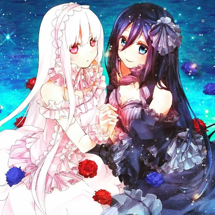 Twins animation