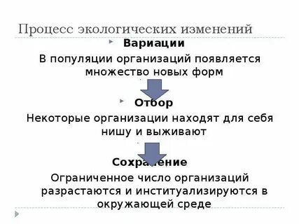Процесс экологического изменения