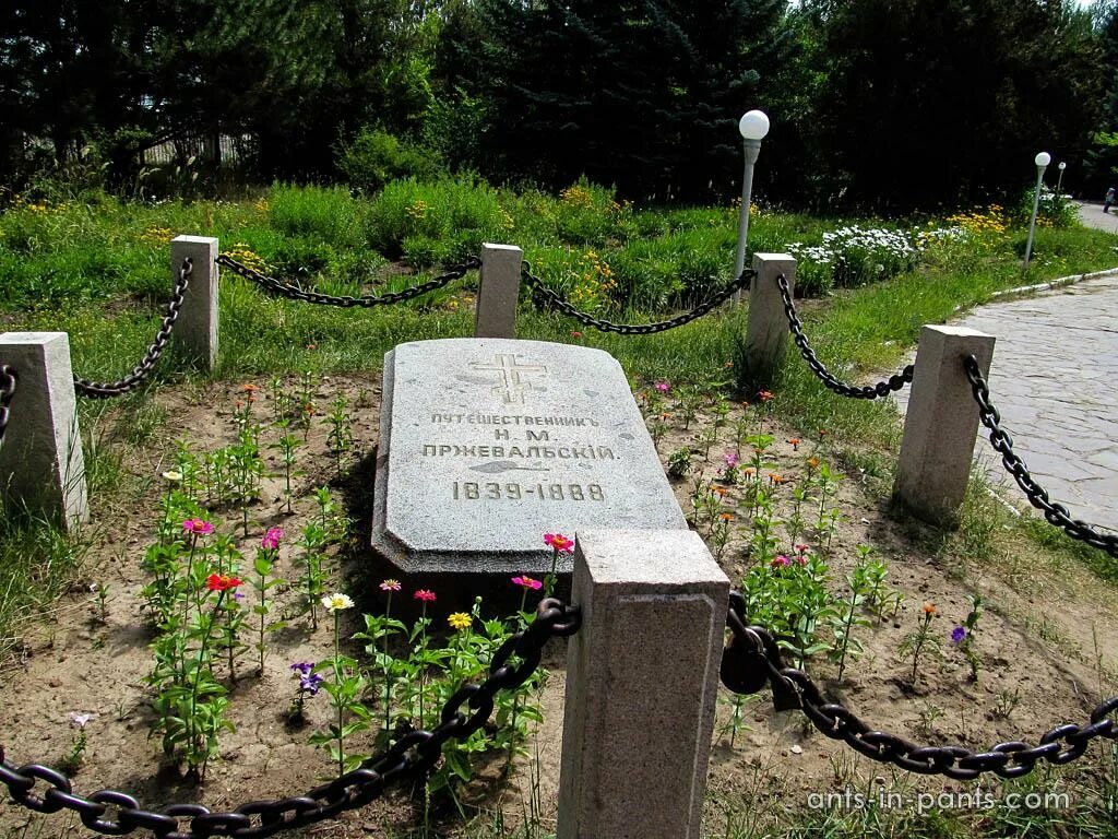 Пржевальский похоронен. Могила Пржевальского на Иссык Куле. Могила Пржевальского в Киргизии.