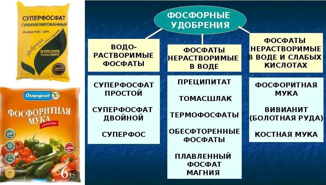 Удобрения это какие названия. Фосфор Минеральные удобрения классификация. Классификация фосфорных удобрений удобрений. Водорастворимые фосфорные удобрения относят. Фосфорные удобрения удобрения.