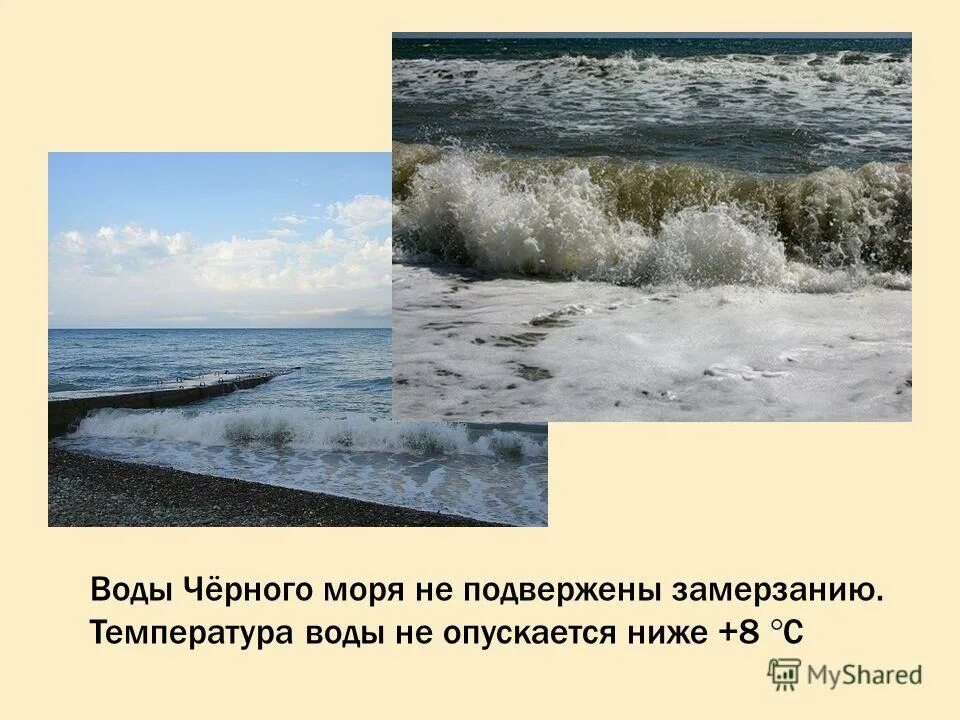Какое значение черного моря. Слайд черное море. климат черного моря. характеристика воды черного мор. чёрное море климат для презентации.
