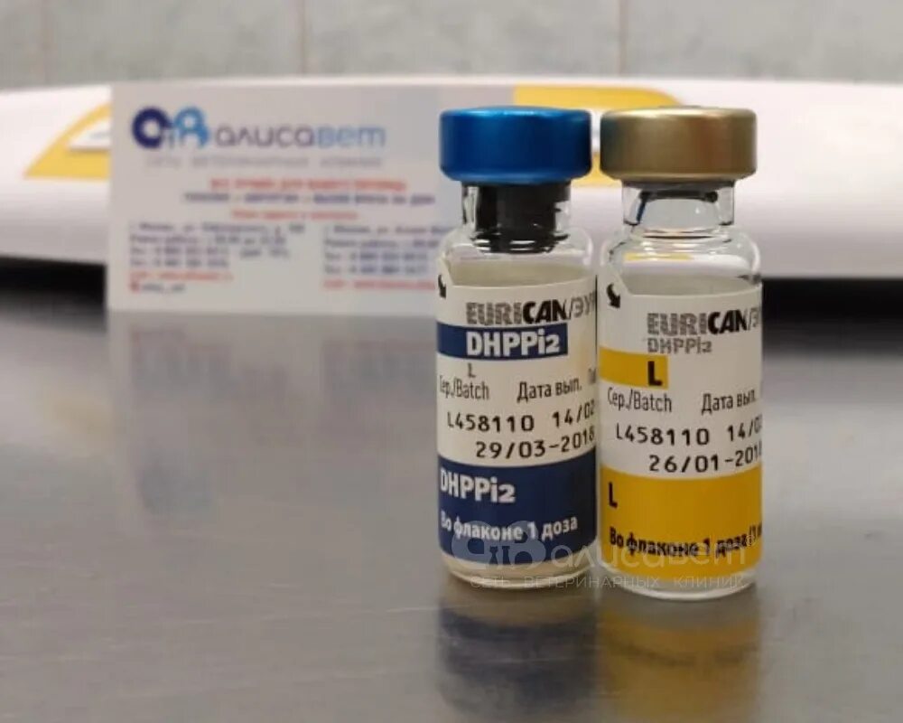 Вакцина dhppi2. Эурикан dhppi2 вакцина для собак. Эурикан вакцина для щенков. Эурикан dhppi2 RL. Эурикан LR И dhppi2.