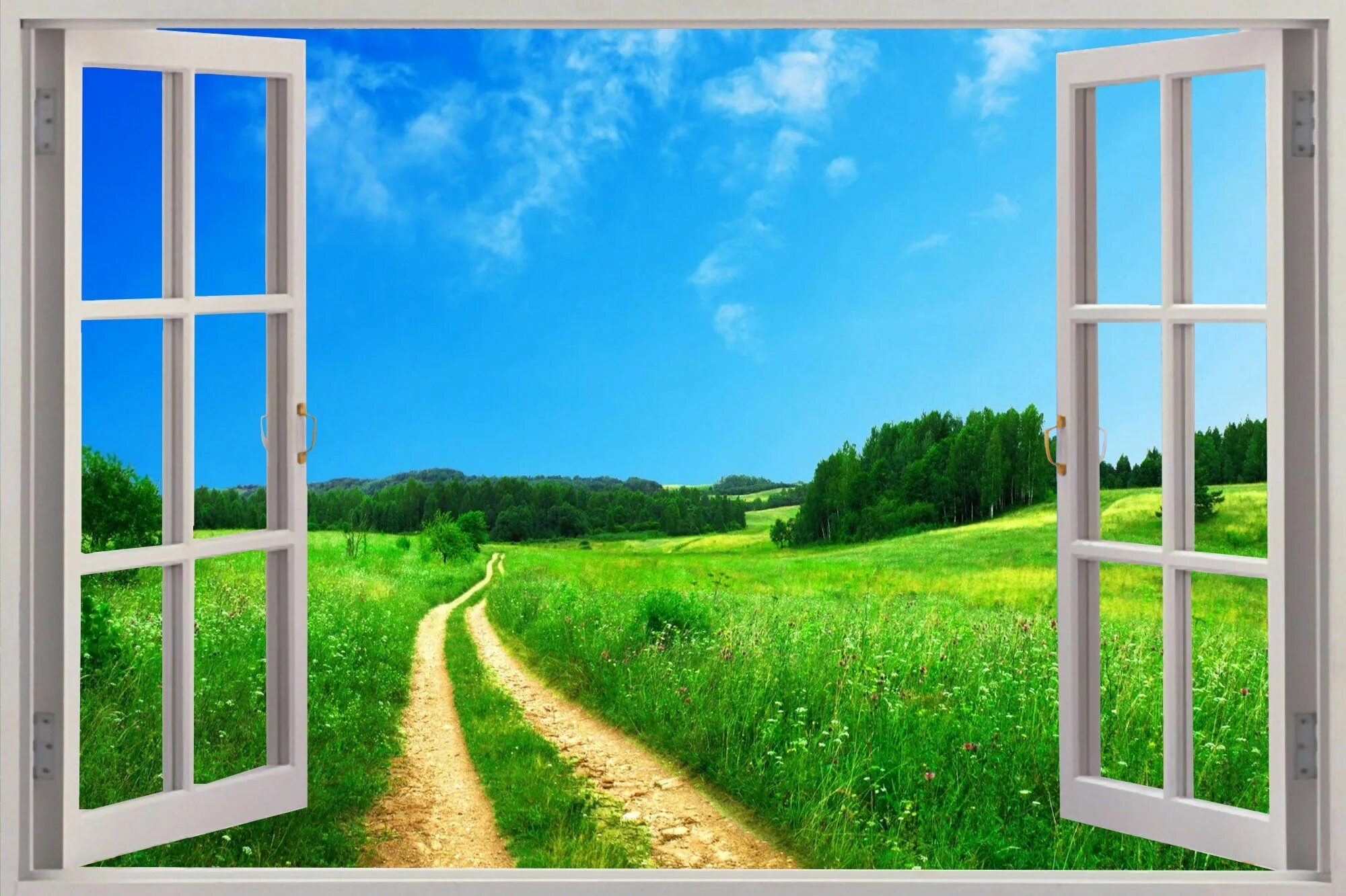 Sun open windows
