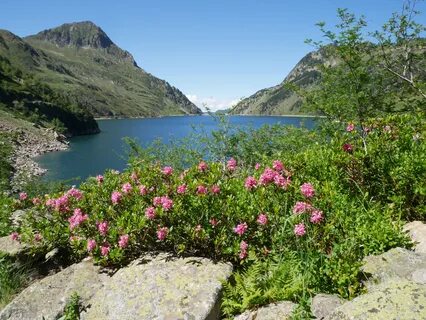 Etang de naguille