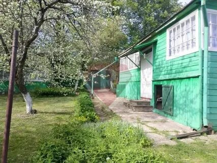 Авито с посад