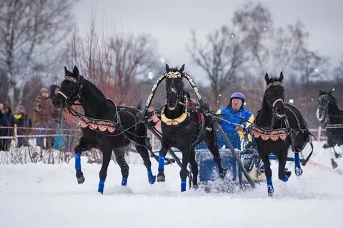 Тройка благовещенск