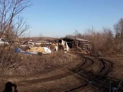 Погода в коксовом белокалитвинский