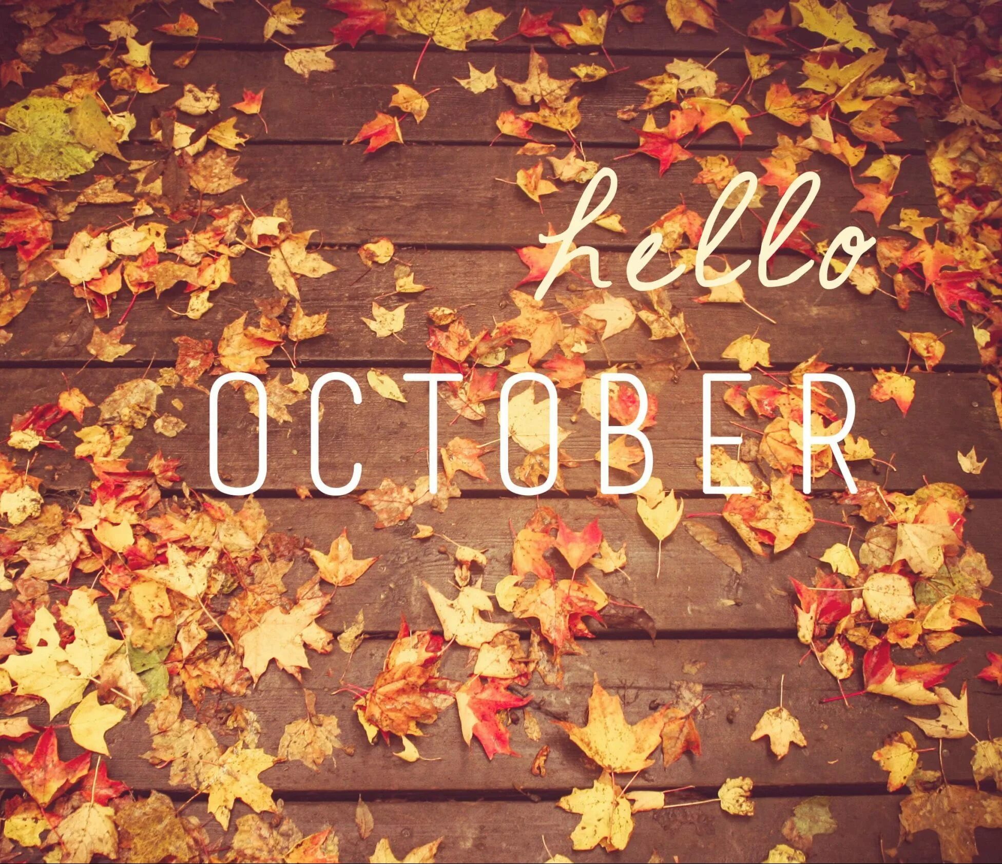 Осень октябрь надпись. Hello october please be good to me. Хеллоу октябрь. Октябрь надпись. Dear october.