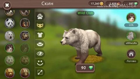 Вет вилд