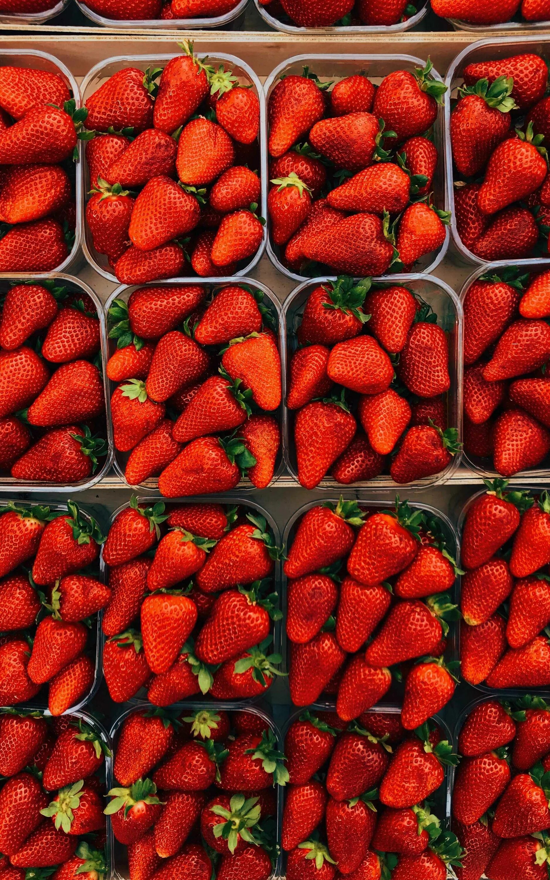 земляника ди боско.