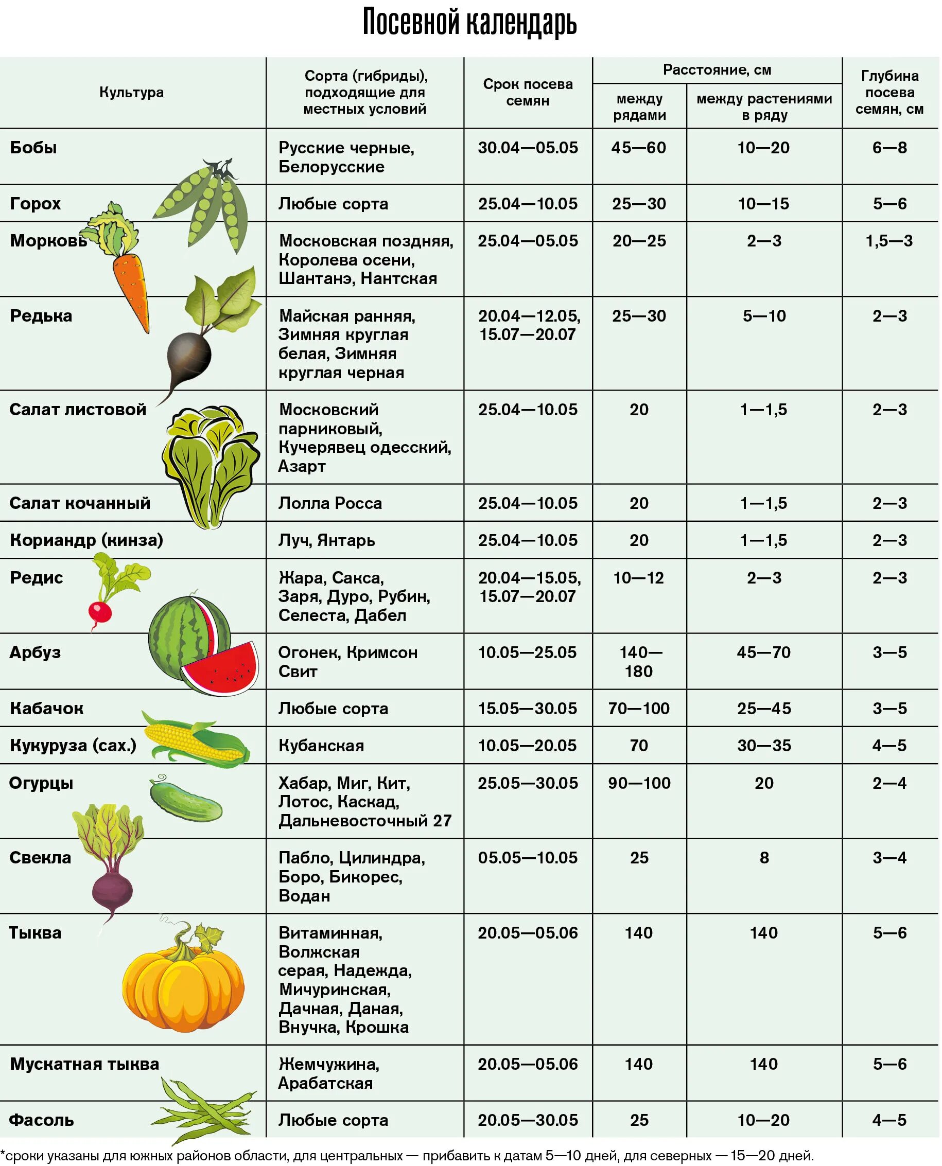 Глубина посева семян томатов. Таблица рассады овощей для высадки в грунт. Сроки посев семян в почву таблица. Таблица посева овощей в грунт. Таблица сроков высадки рассады овощей.