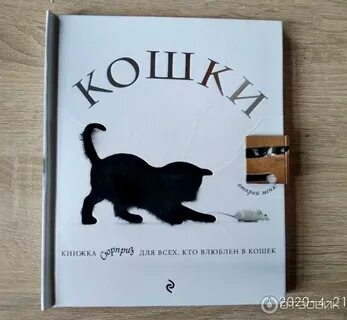 Кошки автор