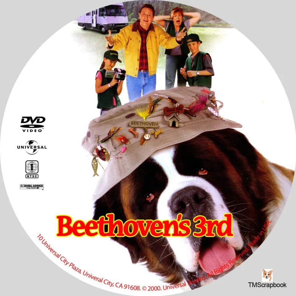 Бетховен (1992) DVD. Бетховен 2 Cover диск. Бетховен 5 диск. Бетховен 3 DVD. Бетховен 3 2000