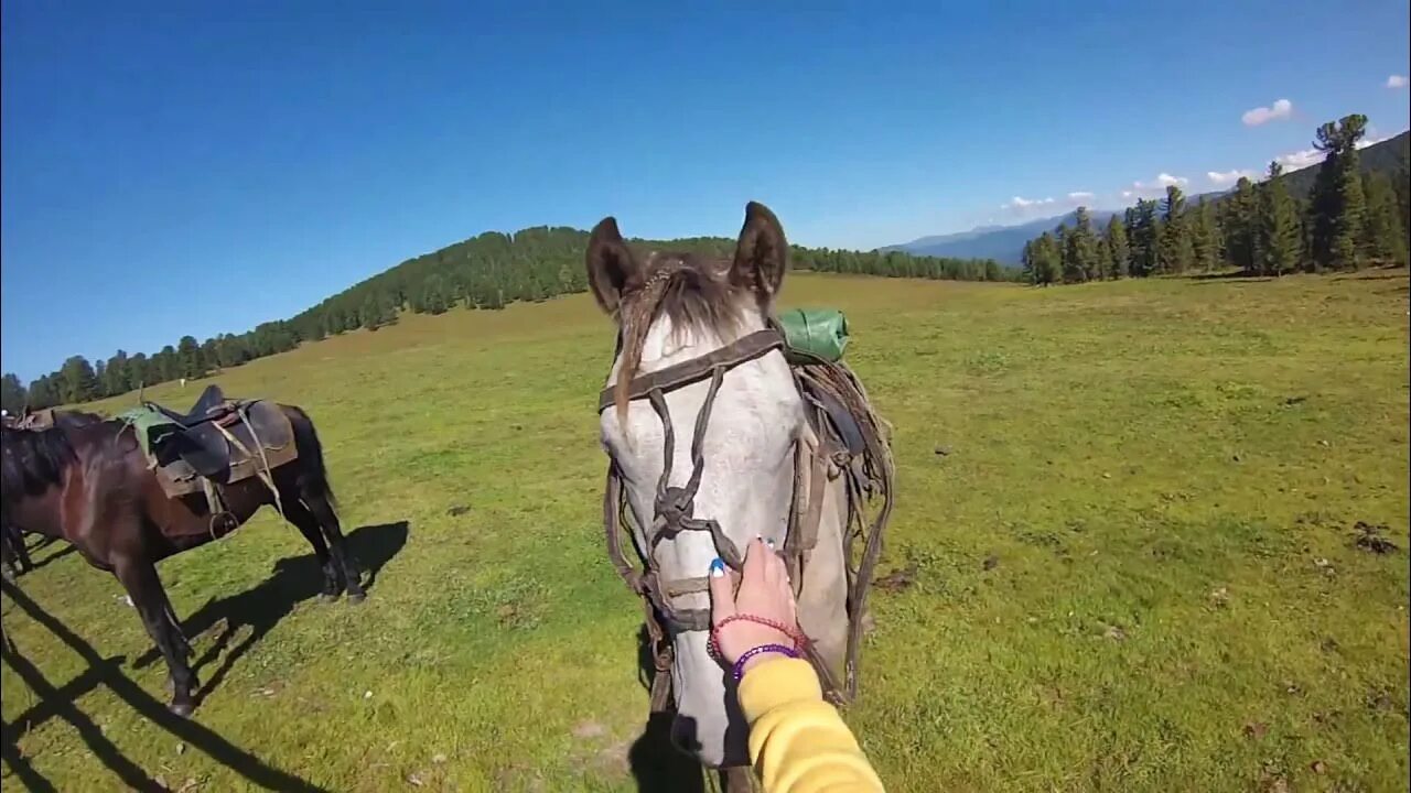 Алтайская деревня горный алтай. Алтайская деревня. Яйлю республика алтай зимой. Горный алтай толгоек поселение. Хозяйственная деятельность алтайцев.