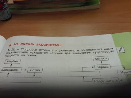 Попробуй отгадать какая