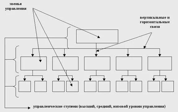 Вертикальные уровни управления. Вертикальная структура управления схема. Звенья в организационной структуре управления. Звенья управленческой структуры. Вертикальные связи в организационной структуре.