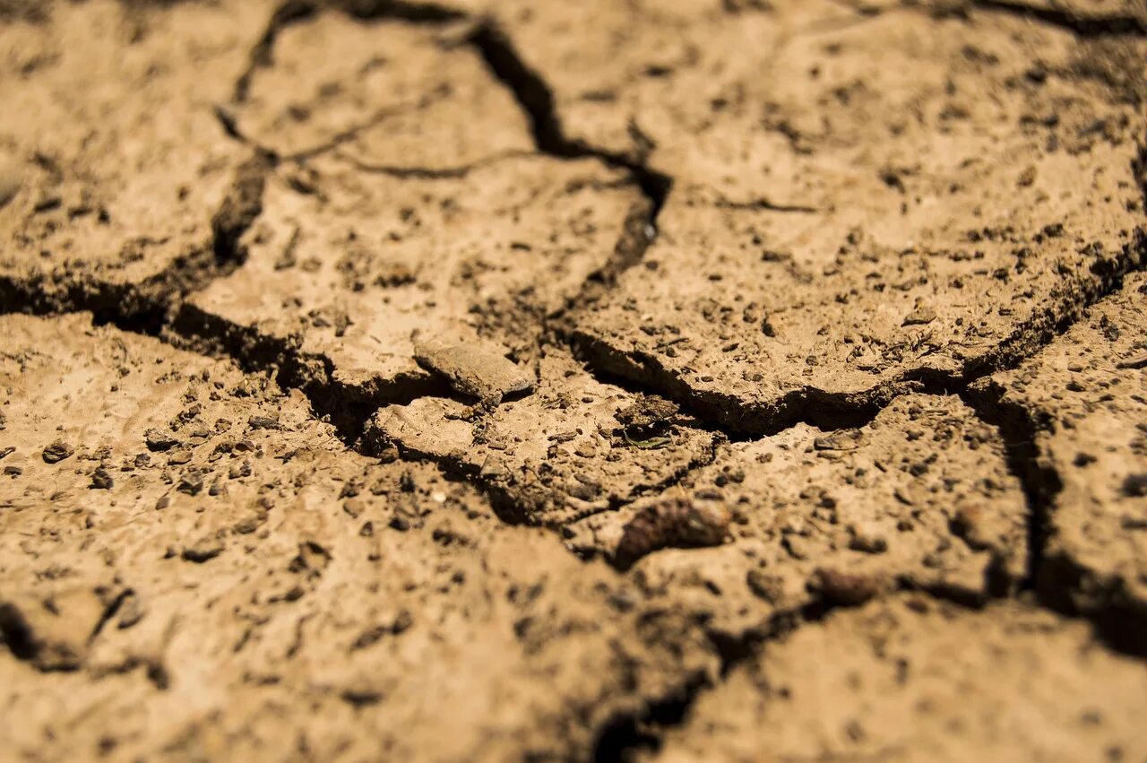 Земля потерпит. Засуха. Почвенная засуха. Разрушение почвы. Грунт текстура.
