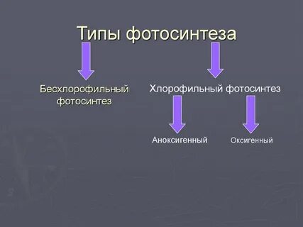 Виды фотосинтеза