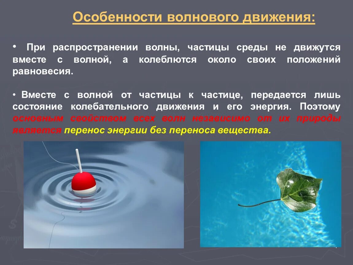 По поверхности воды распространяется волна расстояние. Особенности волнового движения. Волновое движение физика. Характеристики волнового движения. Основные характеристики волн в физике.