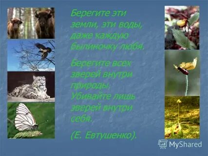Берегите эту красоту