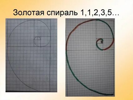 Золотая спираль