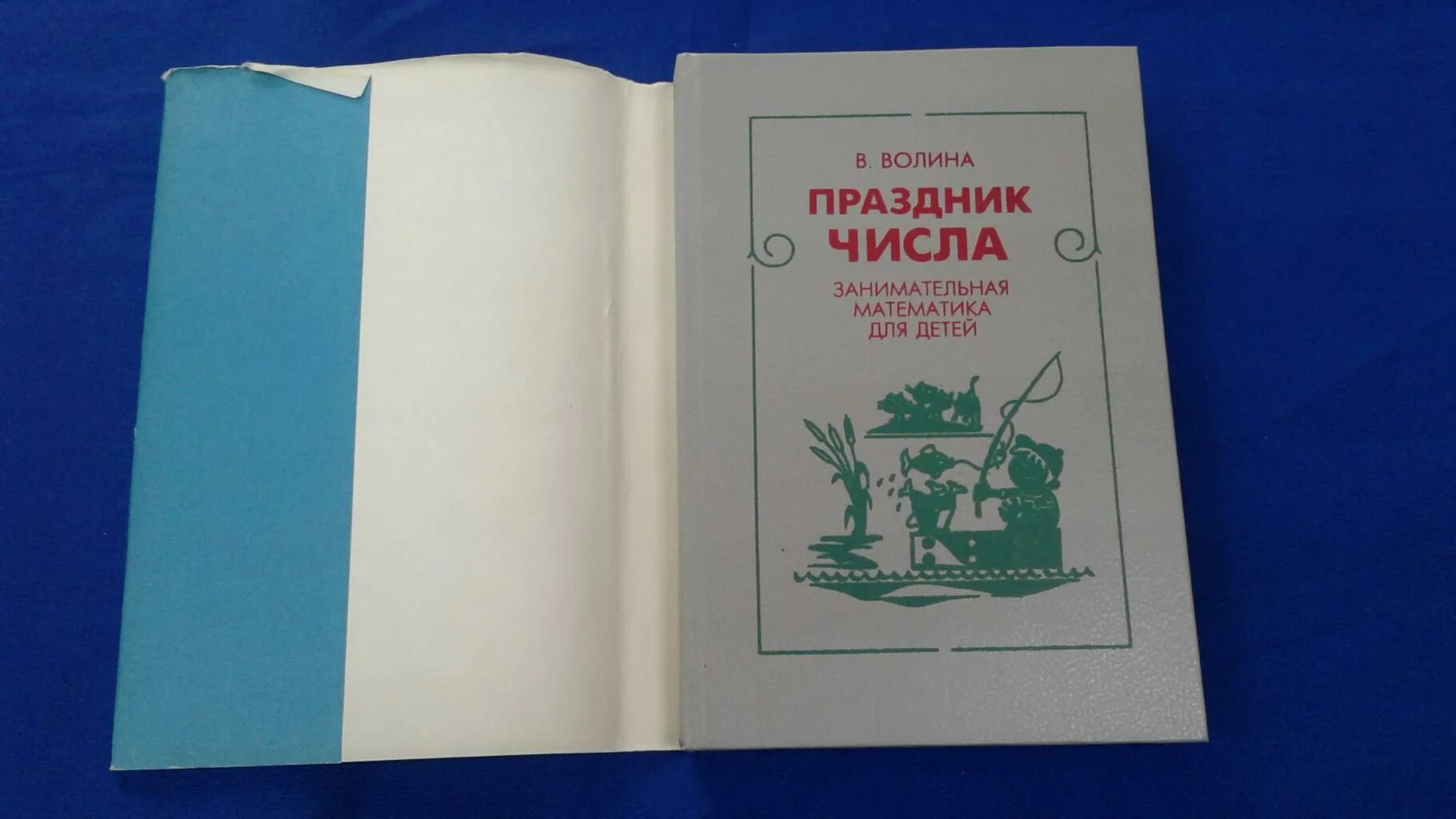 Волина праздник числа. Торжество чисел. Волина сборник. Праздник числа. Праздник числа книга.