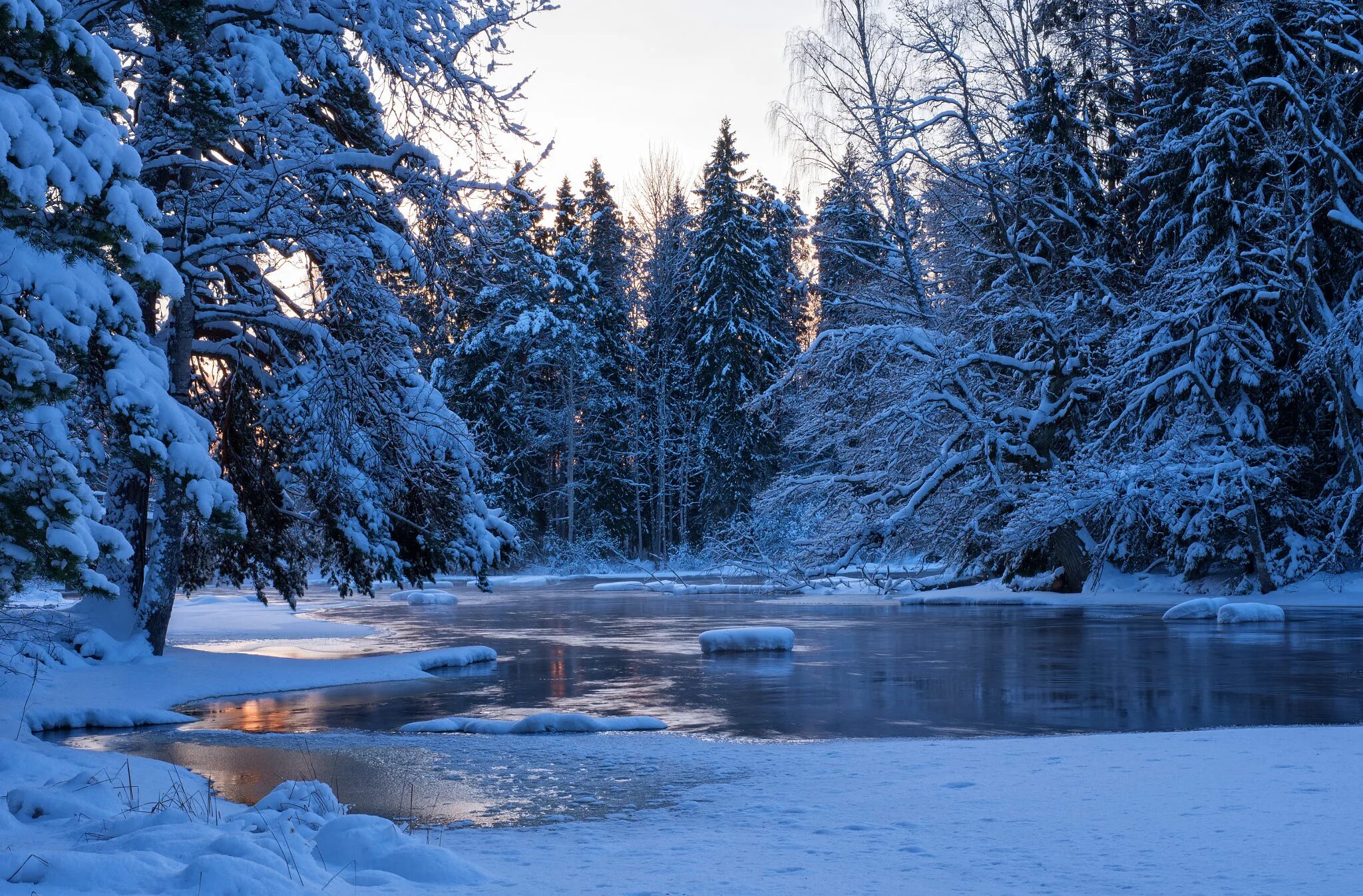 Река елочка