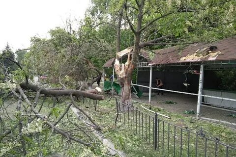 Днр участки
