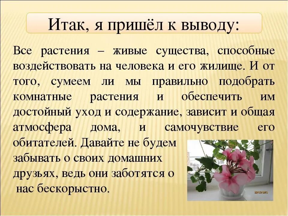 Зачем людям растения. Для чего нужны комнатные растения. Зачем нужны комнатные растения. Зачем человеку комнатные растения. Комнатные цветы для чего нужны.